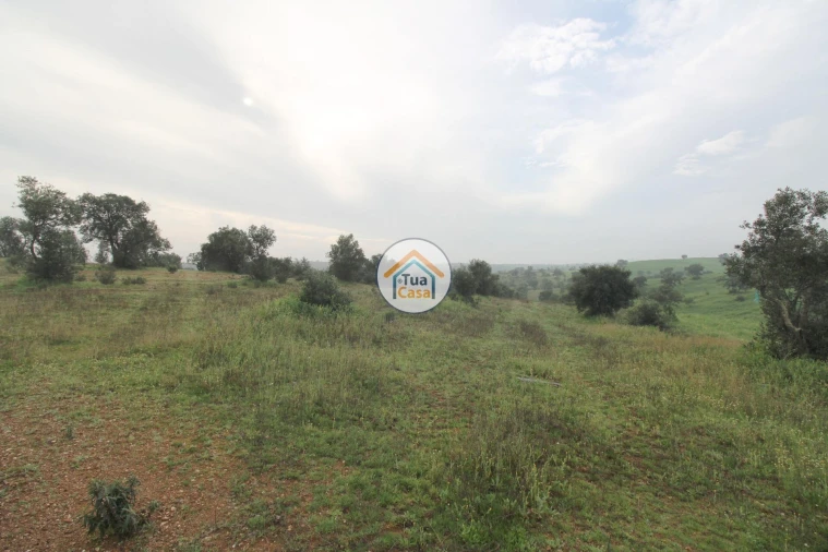 Terreno para Venda em Amieira e Alqueva Foto 3