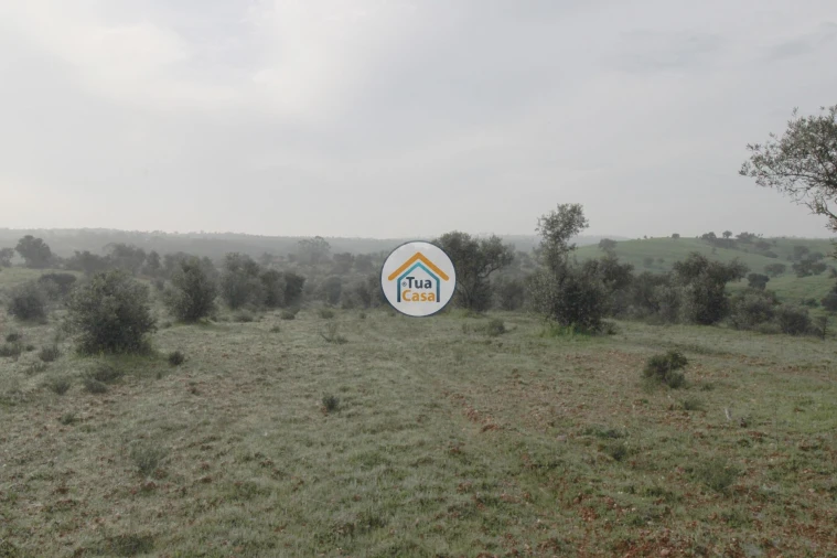 Terreno para Venda em Amieira e Alqueva Foto 11