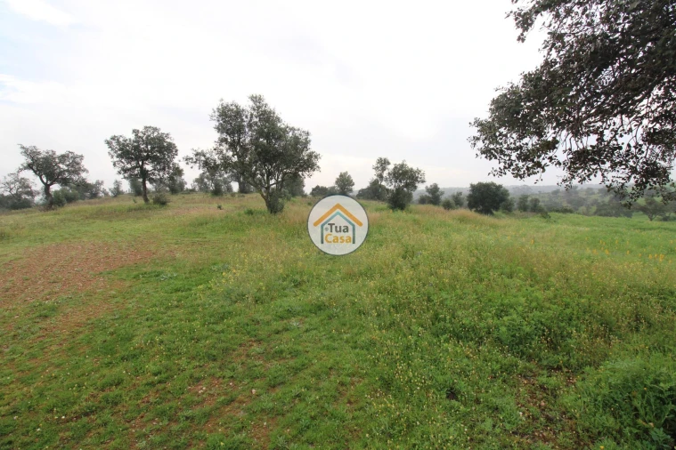 Terreno para Venda em Amieira e Alqueva Foto 2