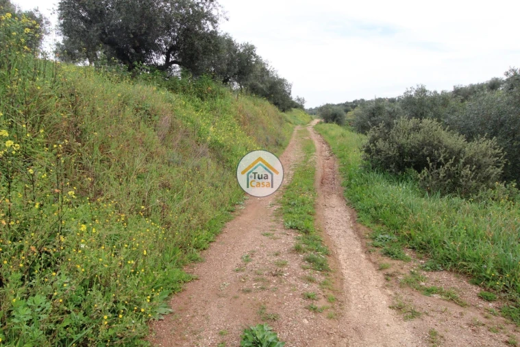 Terreno para Venda em Amieira e Alqueva Foto 20