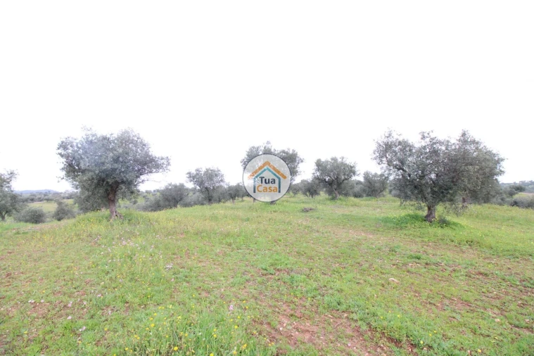 Terreno para Venda em Amieira e Alqueva Foto 6
