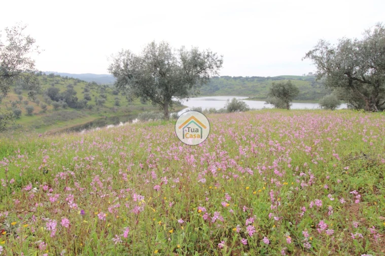 Terreno para Venda em Amieira e Alqueva Foto 14