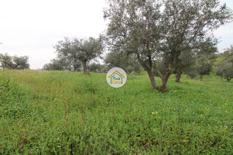 Terreno para Venda em Amieira e Alqueva Foto 10