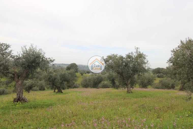 Terreno para Venda em Amieira e Alqueva Foto 12