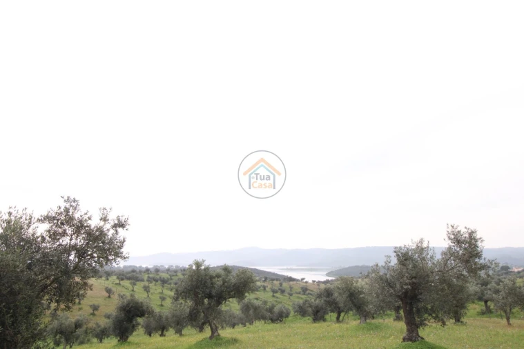 Terreno para Venda em Amieira e Alqueva Foto 3