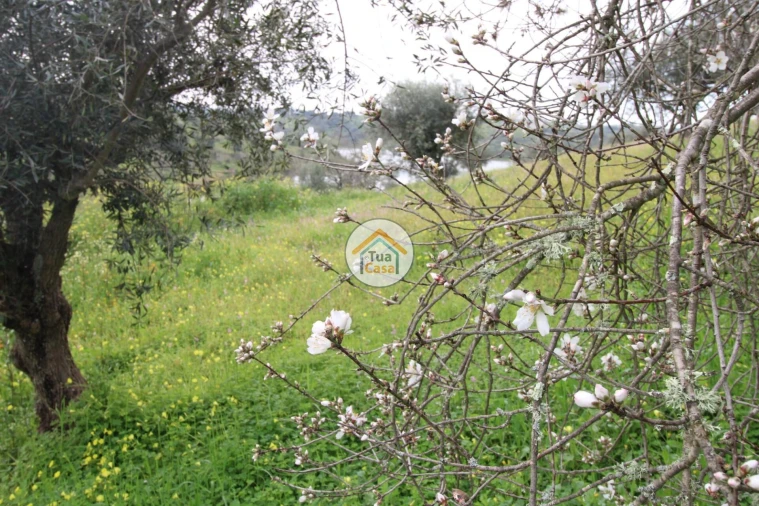 Terreno para Venda em Amieira e Alqueva Foto 17