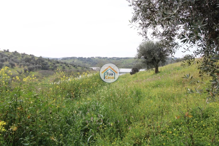 Terreno para Venda em Amieira e Alqueva Foto 18