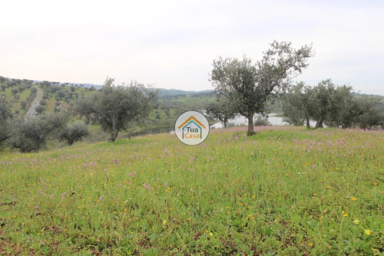 Terreno para Venda em Amieira e Alqueva Foto 13