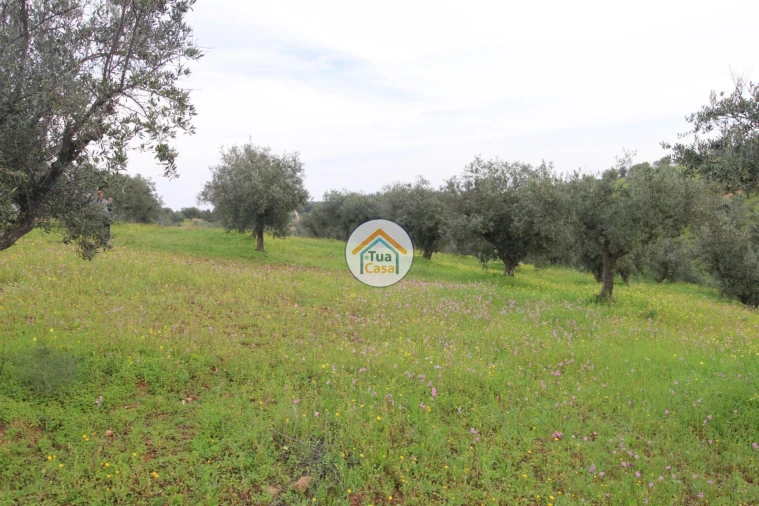 Terreno para Venda em Amieira e Alqueva Foto 16