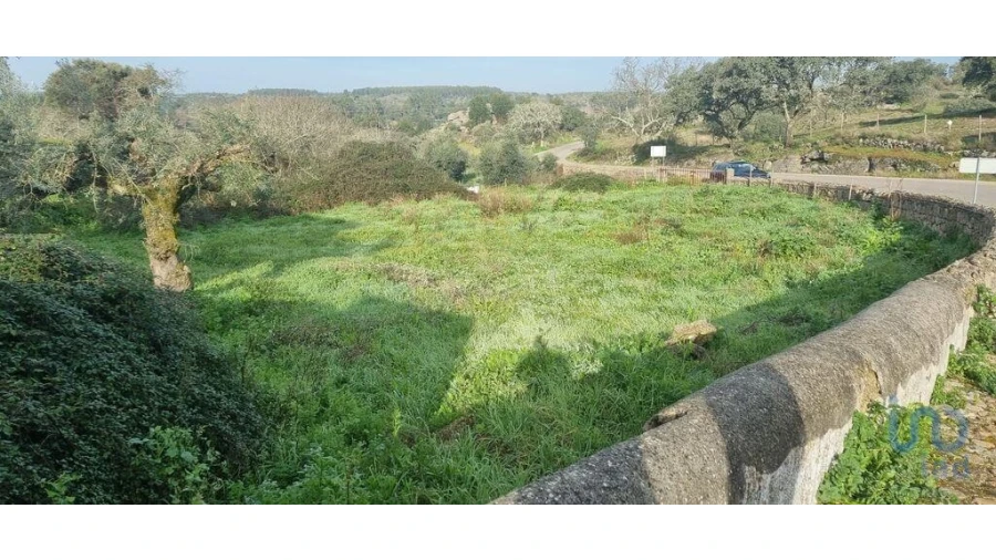 Terreno para Venda em Tolosa Foto 2