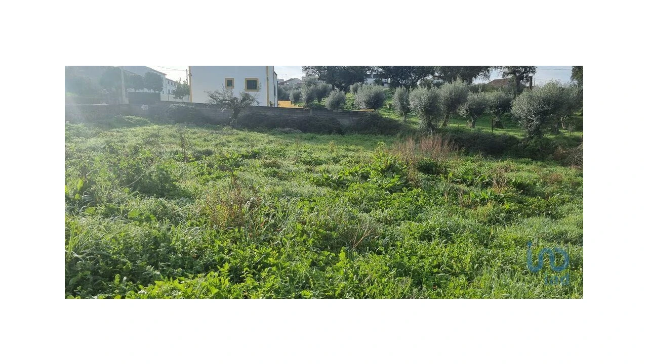 Terreno para Venda em Tolosa Foto 3