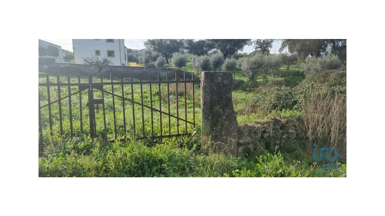 Terreno para Venda em Tolosa Foto 1