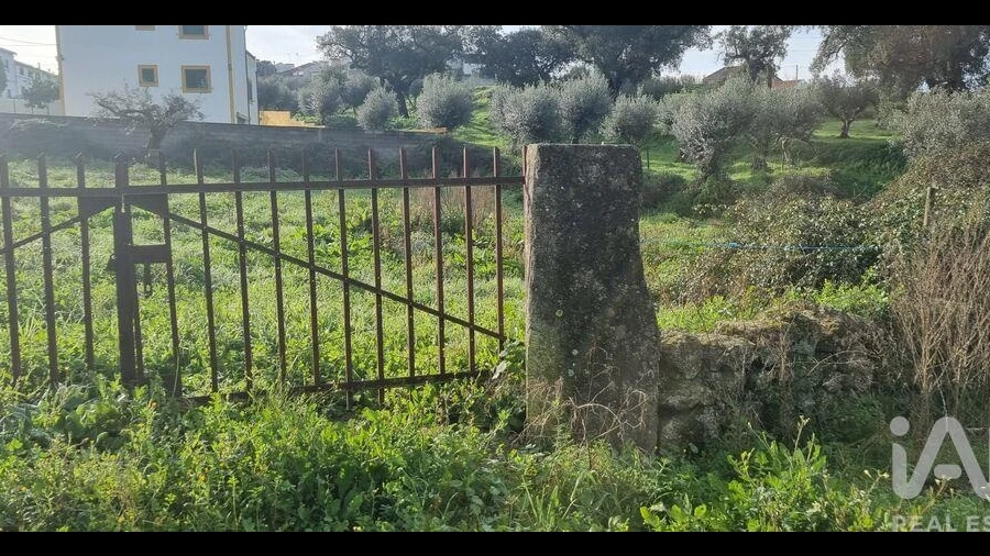 Terreno para Venda em Tolosa