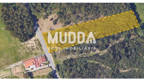 Terreno para Venda em Anta e Guetim