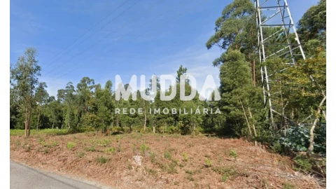 Terreno para Venda em Anta e Guetim