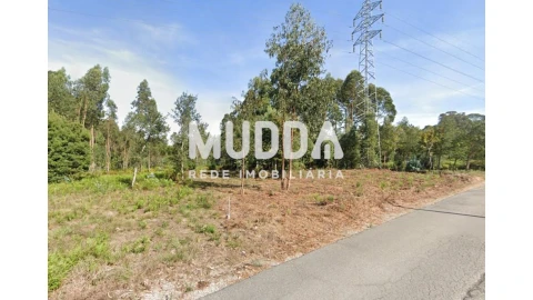 Terreno para Venda em Anta e Guetim