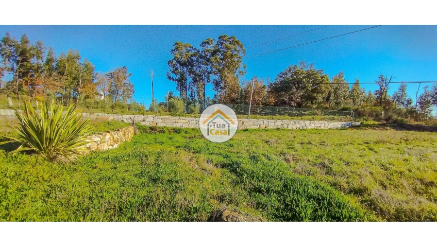 Terreno para Venda em Guardão Foto 7