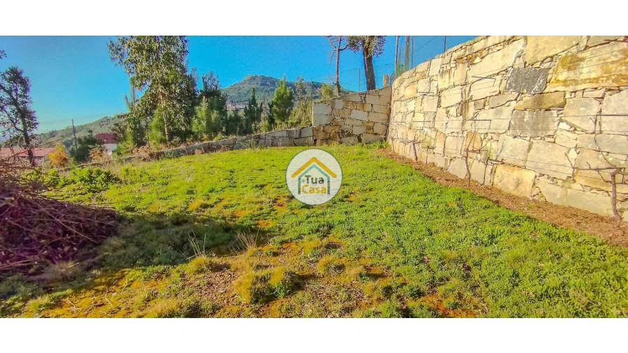 Terreno para Venda em Guardão Foto 13