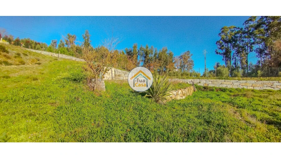 Terreno para Venda em Guardão Foto 8