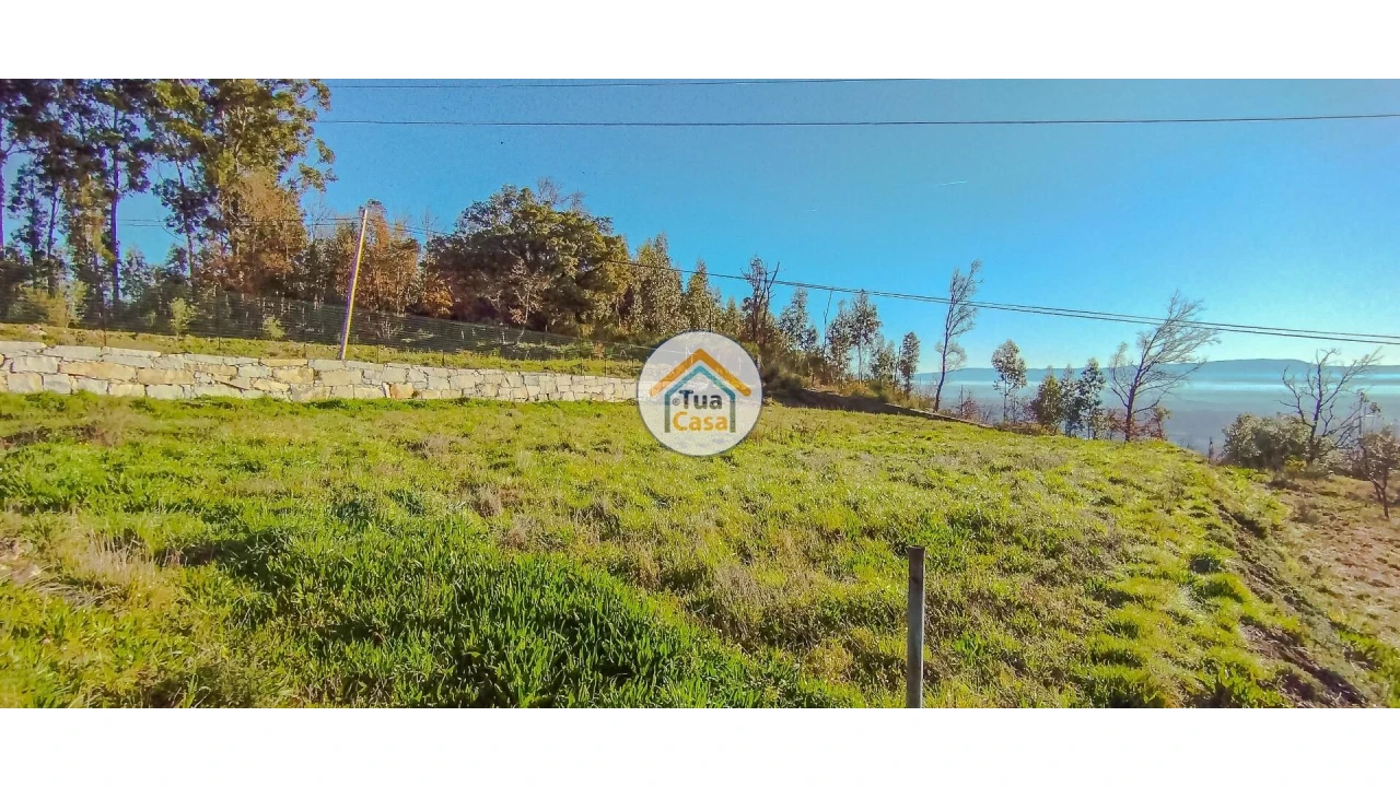 Terreno para Venda em Guardão Foto 6