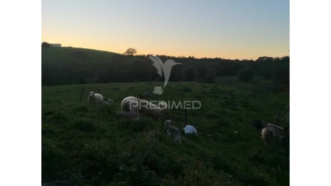 Moradia T5 para Venda em São Francisco da Serra