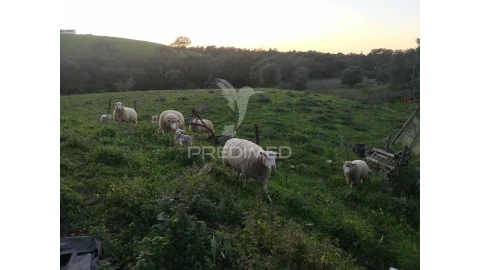 Moradia T5 para Venda em São Francisco da Serra