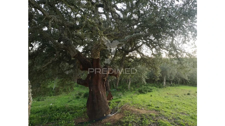 Moradia T5 para Venda em São Francisco da Serra Foto 12