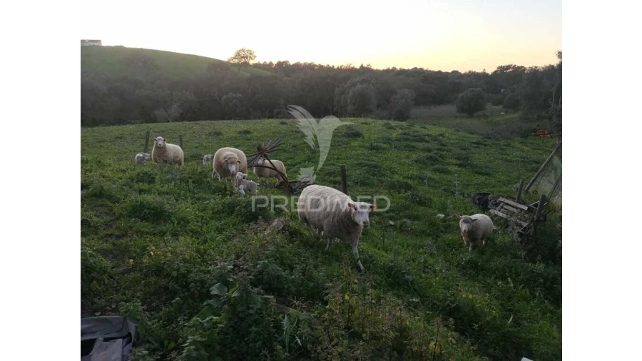 Moradia T5 para Venda em São Francisco da Serra Foto 14