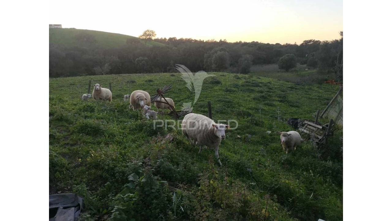 Moradia T5 para Venda em São Francisco da Serra Foto 14