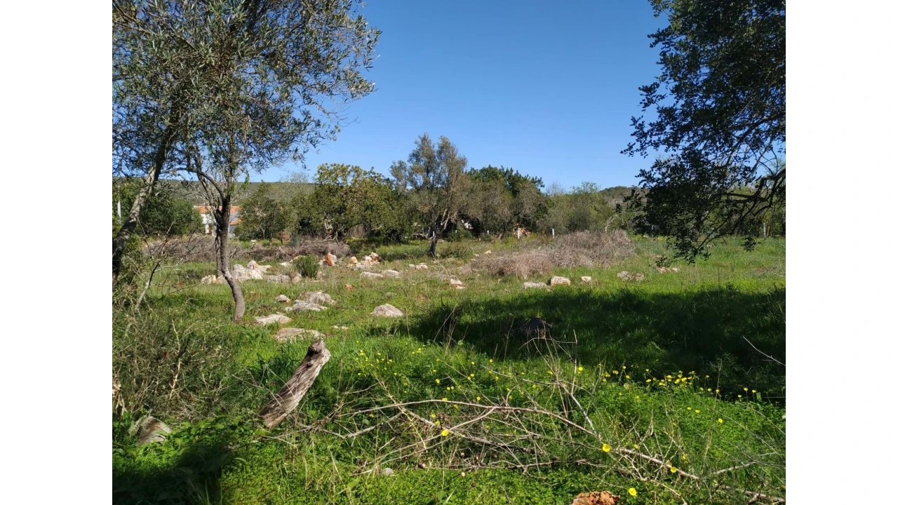 Terreno para Venda em Alte Foto 9