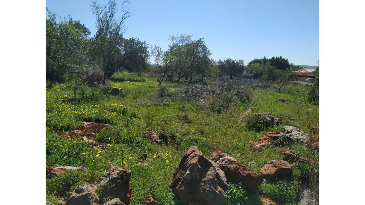 Terreno para Venda em Alte Foto 4
