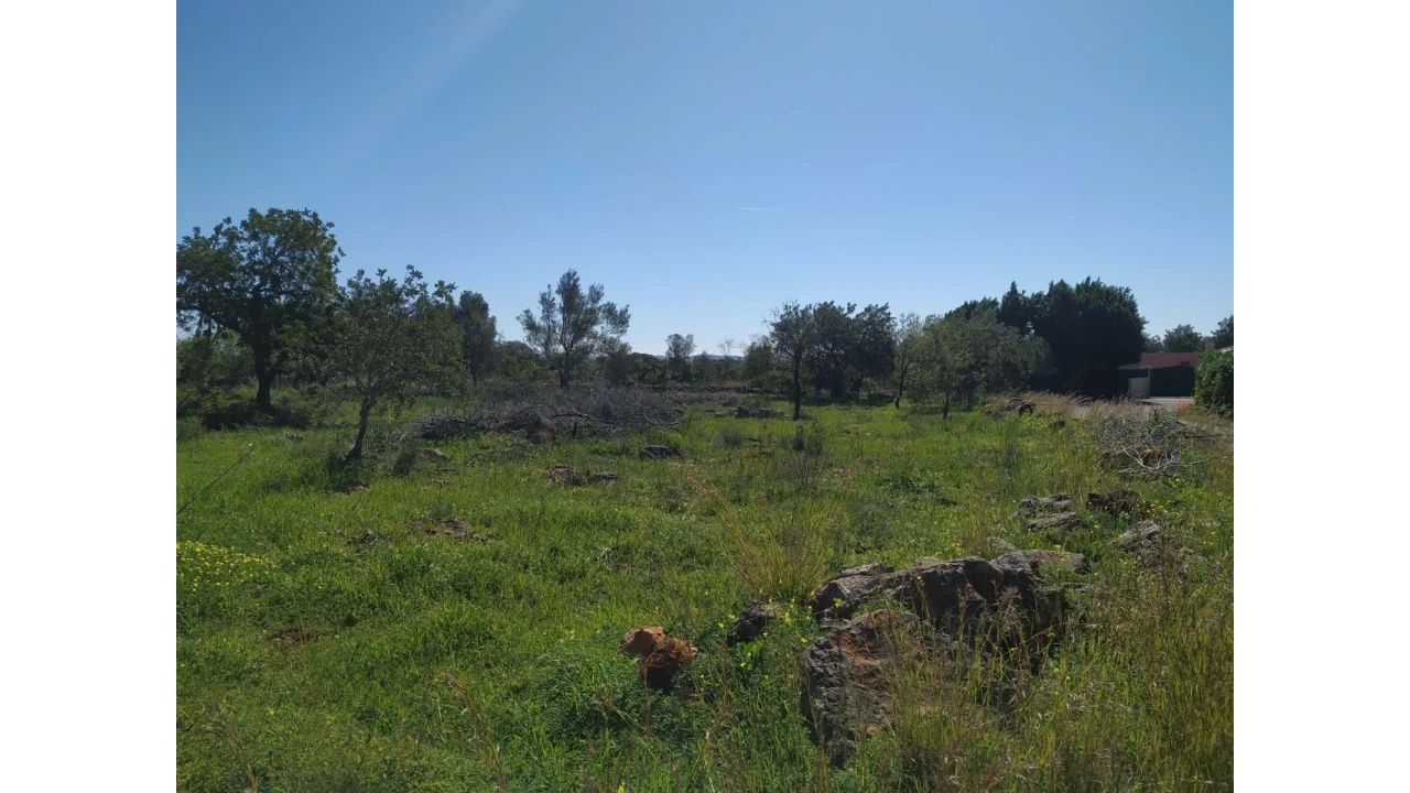 Terreno para Venda em Alte Foto 6