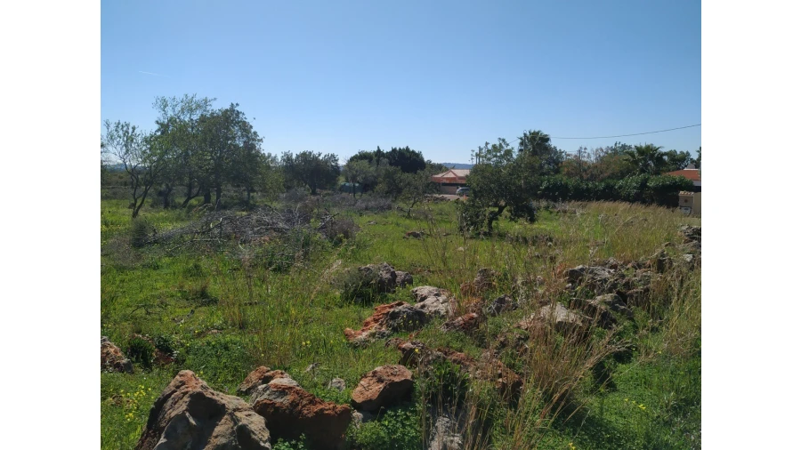 Terreno para Venda em Alte Foto 3