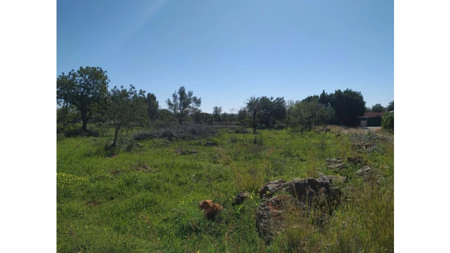 Terreno para Venda em Alte Foto 6