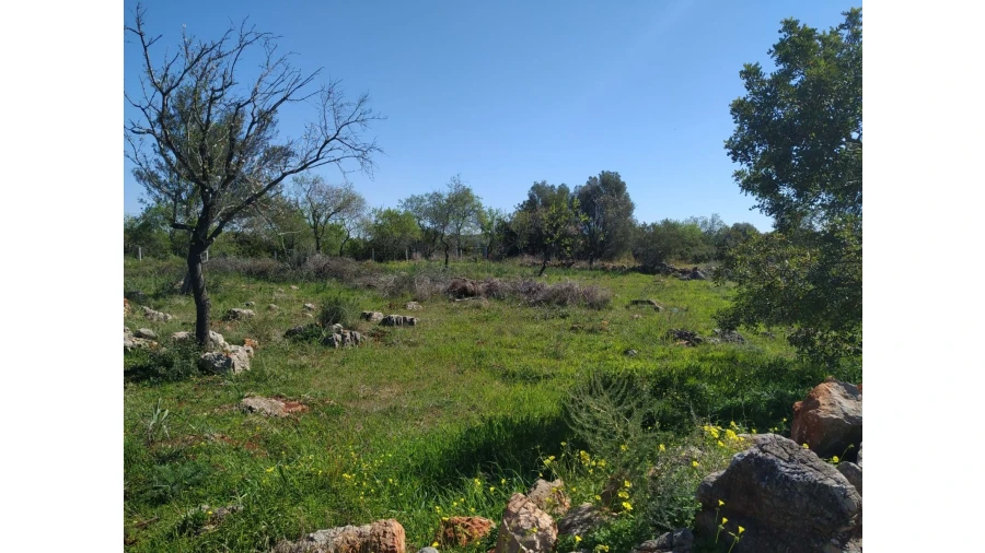 Terreno para Venda em Alte Foto 7
