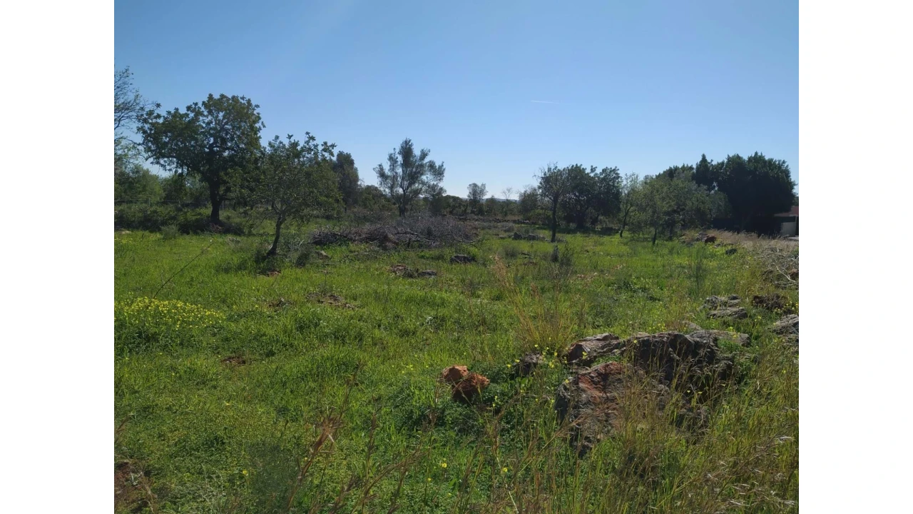 Terreno para Venda em Alte Foto 5