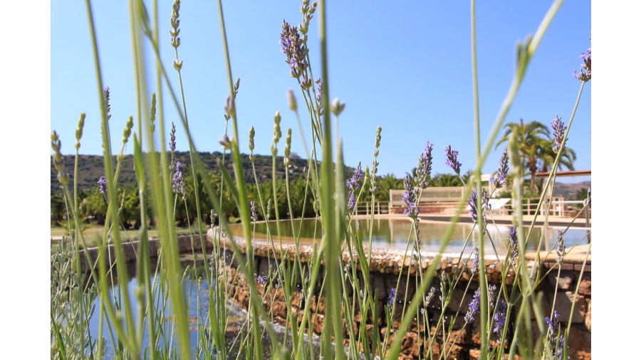 Quinta T3 para Venda em Estômbar e Parchal Foto 5