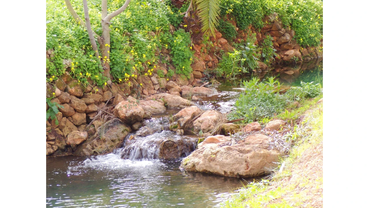 Quinta T3 para Venda em Estômbar e Parchal Foto 57