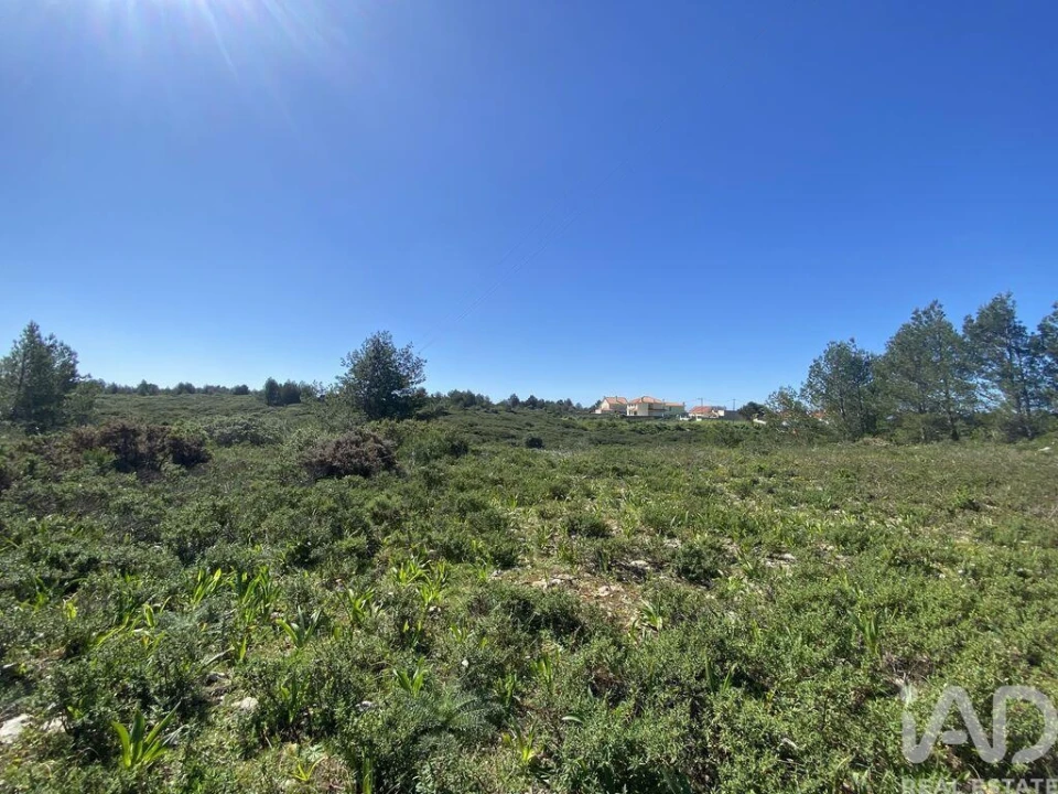 Terreno para Venda em Alcabideche Foto 13