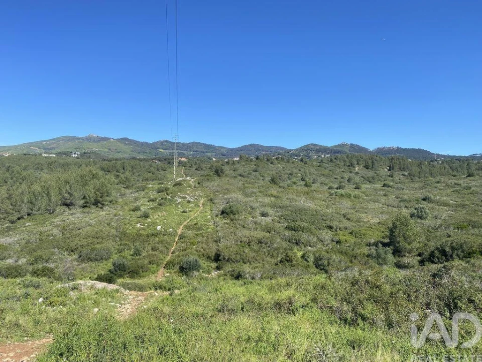 Terreno para Venda em Alcabideche Foto 10