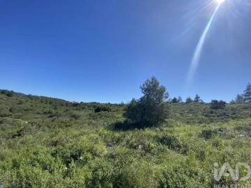 Terreno para Venda em Alcabideche