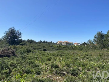 Terreno para Venda em Alcabideche