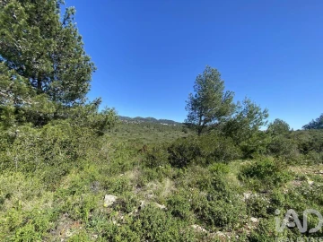 Terreno para Venda em Alcabideche