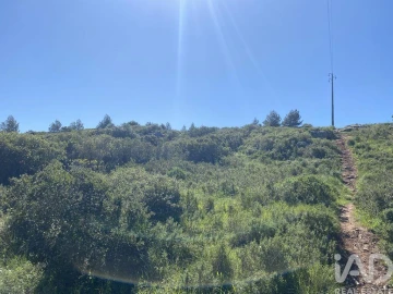 Terreno para Venda em Alcabideche