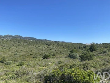 Terreno para Venda em Alcabideche