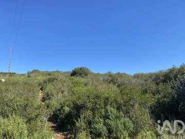 Terreno para Venda em Alcabideche