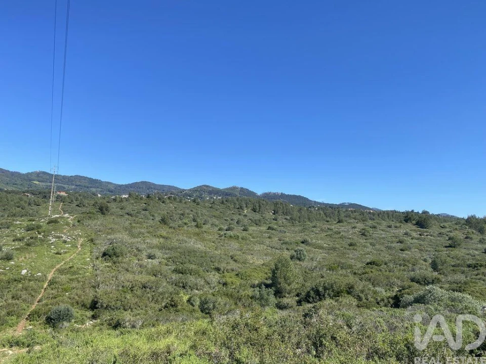 Terreno para Venda em Alcabideche Foto 5