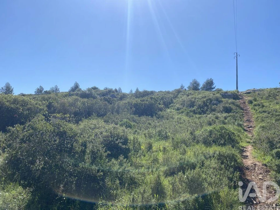 Terreno para Venda em Alcabideche Foto 1
