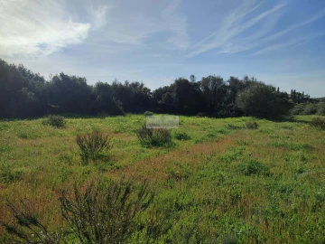 Terreno para Venda em Barão de São Miguel