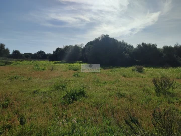 Terreno para Venda em Barão de São Miguel